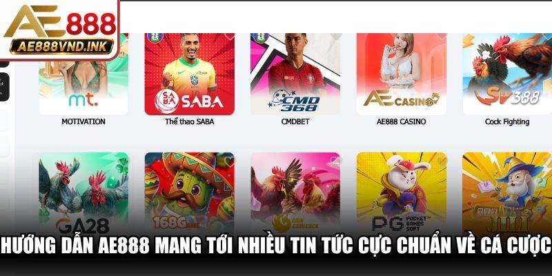 Hướng dẫn AE888 mang tới nhiều tin tức cực chuẩn về cá cược